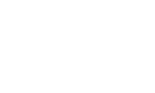 Zina P.